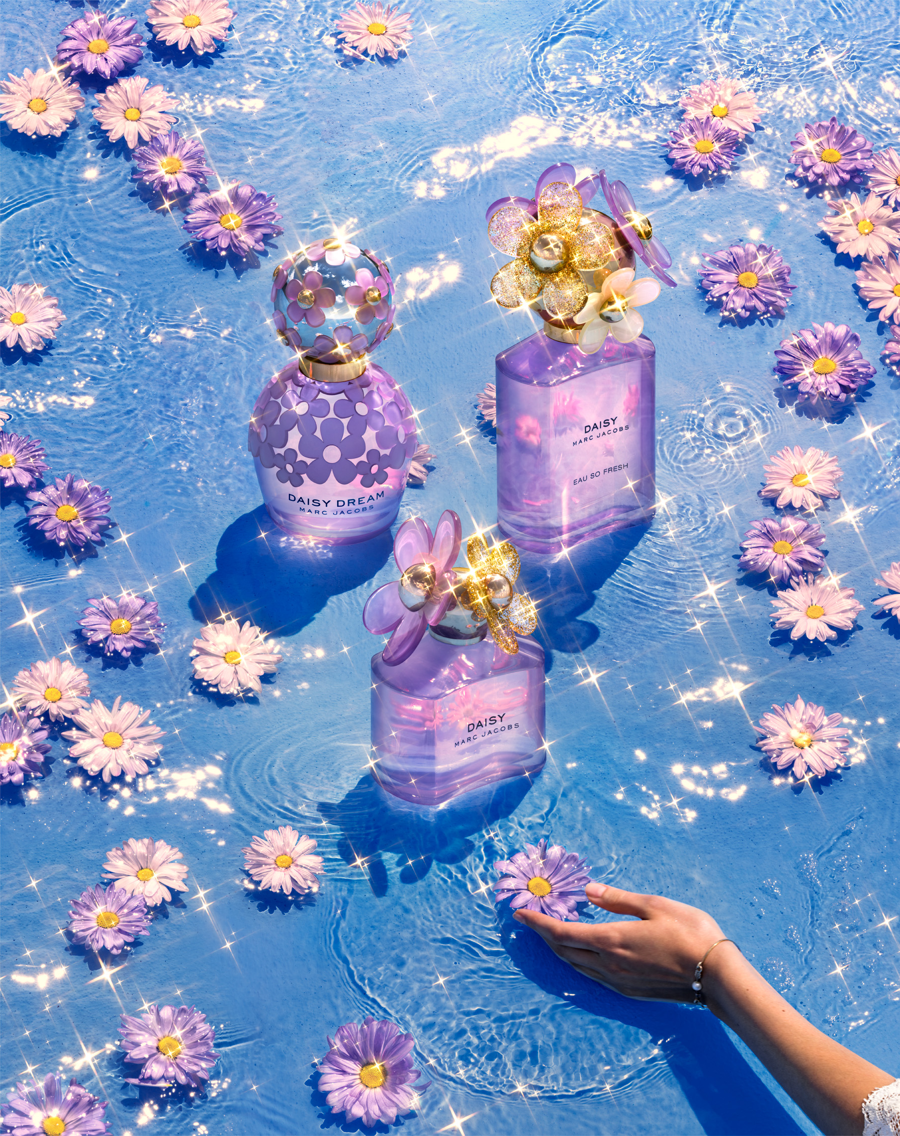 daisy dream petals