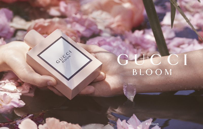 gucci bloom pink