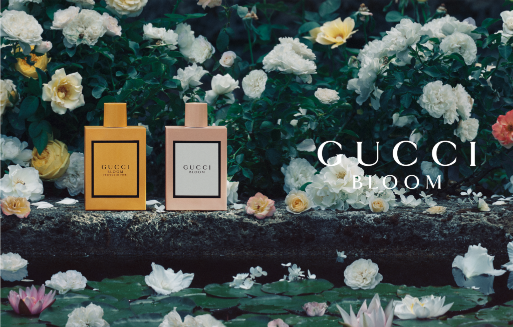 gucci bloom jasmine