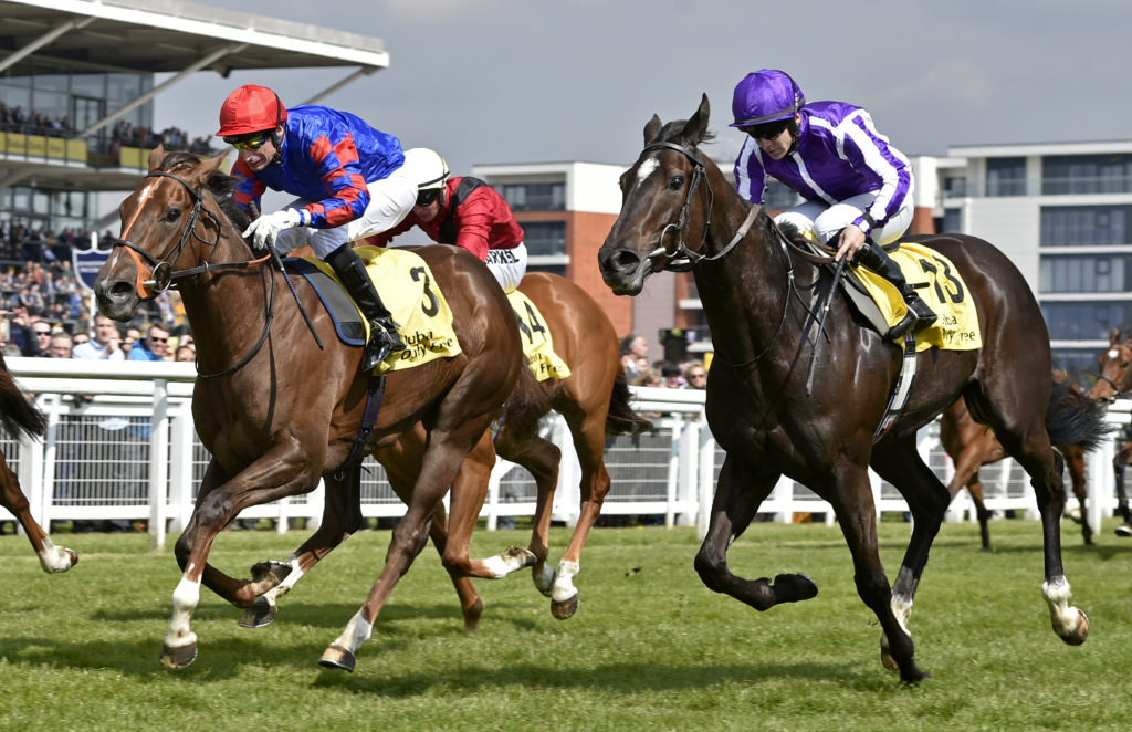 Dubai Duty Free Spring Trials Weekend Returns To Newbury The Moodie Davitt Report The Moodie Davitt Report