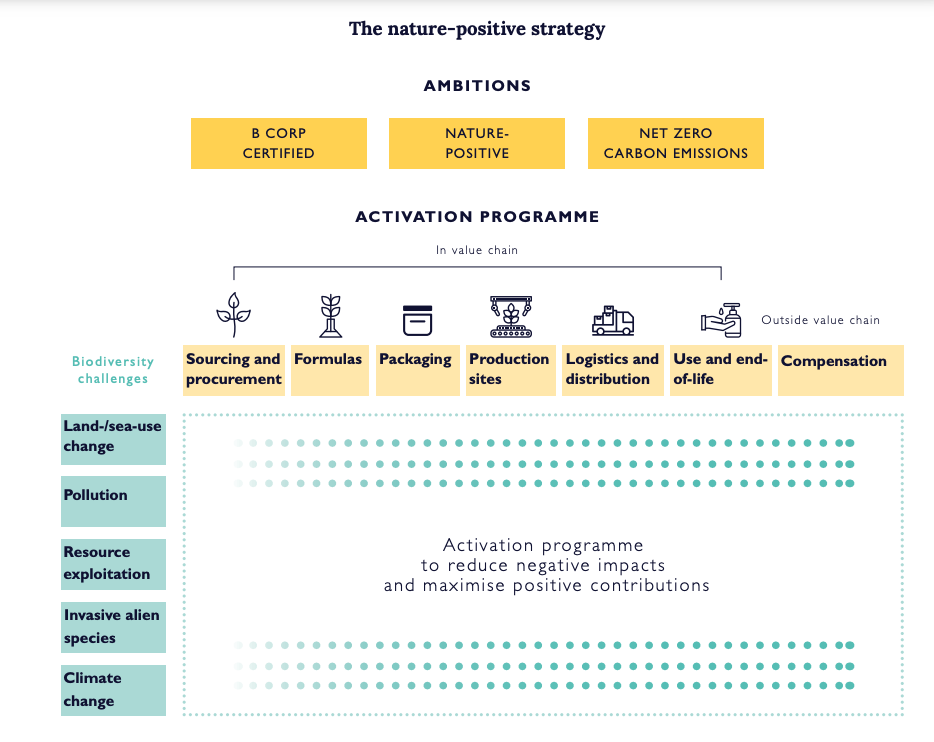 Calendrier L Occitane 2023 Towards A Nature-Positive World” — L'occitane Group Outlines Updated  Biodiversity Targets : The Moodie Davitt Report -The Moodie Davitt Report