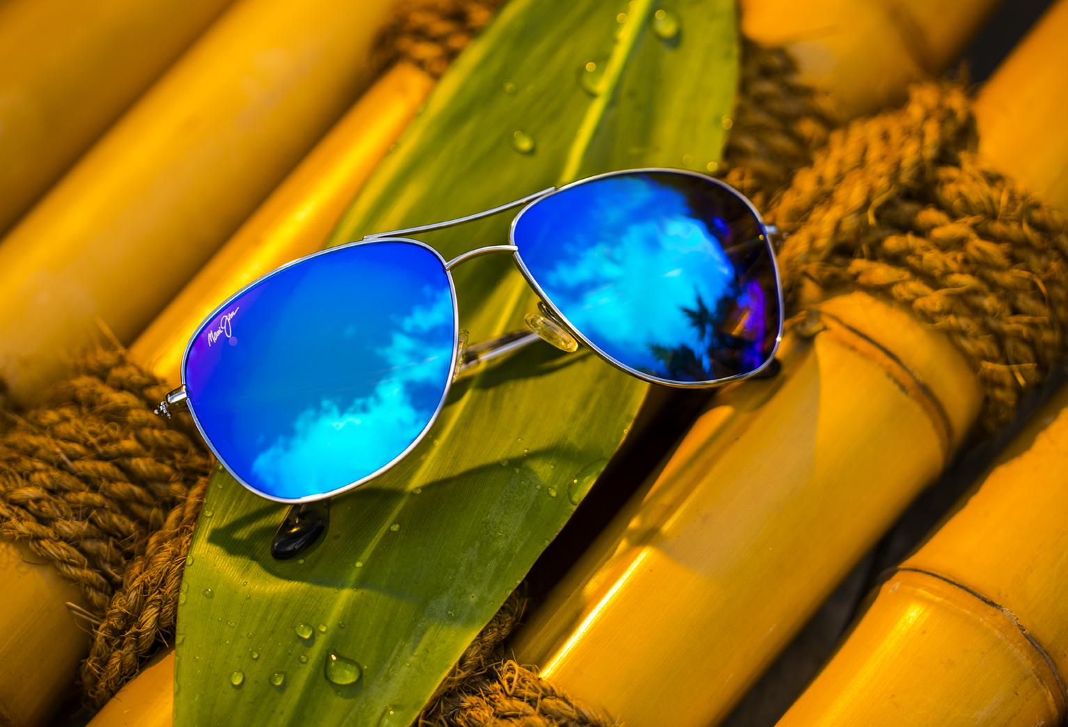 Kering Eyewear completes Maui Jim acquisition The Moodie Davitt