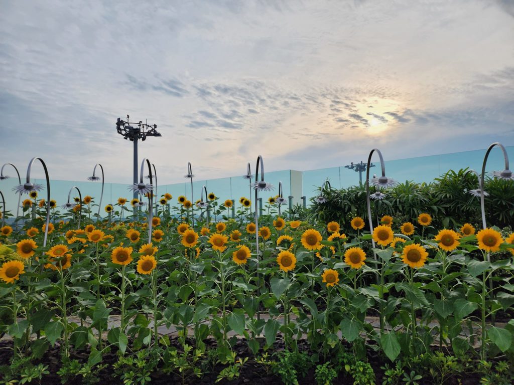 Changi Airport reopens Terminal 2 departures with enhanced commercial