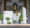 Image forGlobuy and DECORTÉ team up for ‘Globuy Reviewers’ campaign in Rosewood Sanya