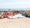 Image forEver Rich Duty Free marks International Coastal Cleanup Day by collecting 3,000 kg of marine waste
